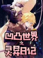 老狼宏官网